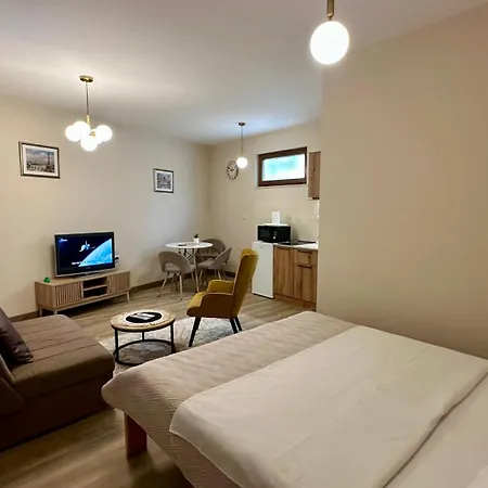 Station 波德戈里察