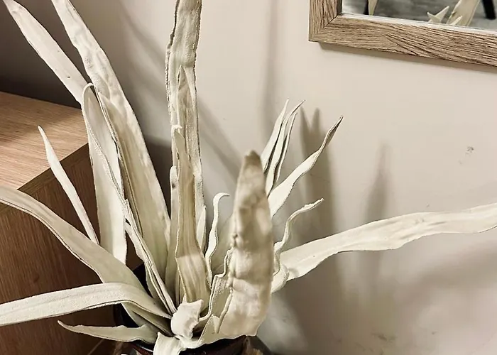 Station Apartamento *